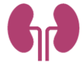 icono - funcion renal