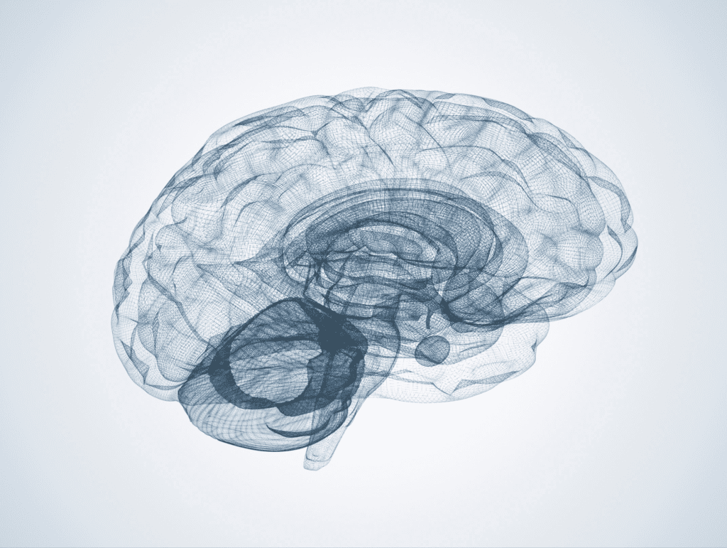 cerebro