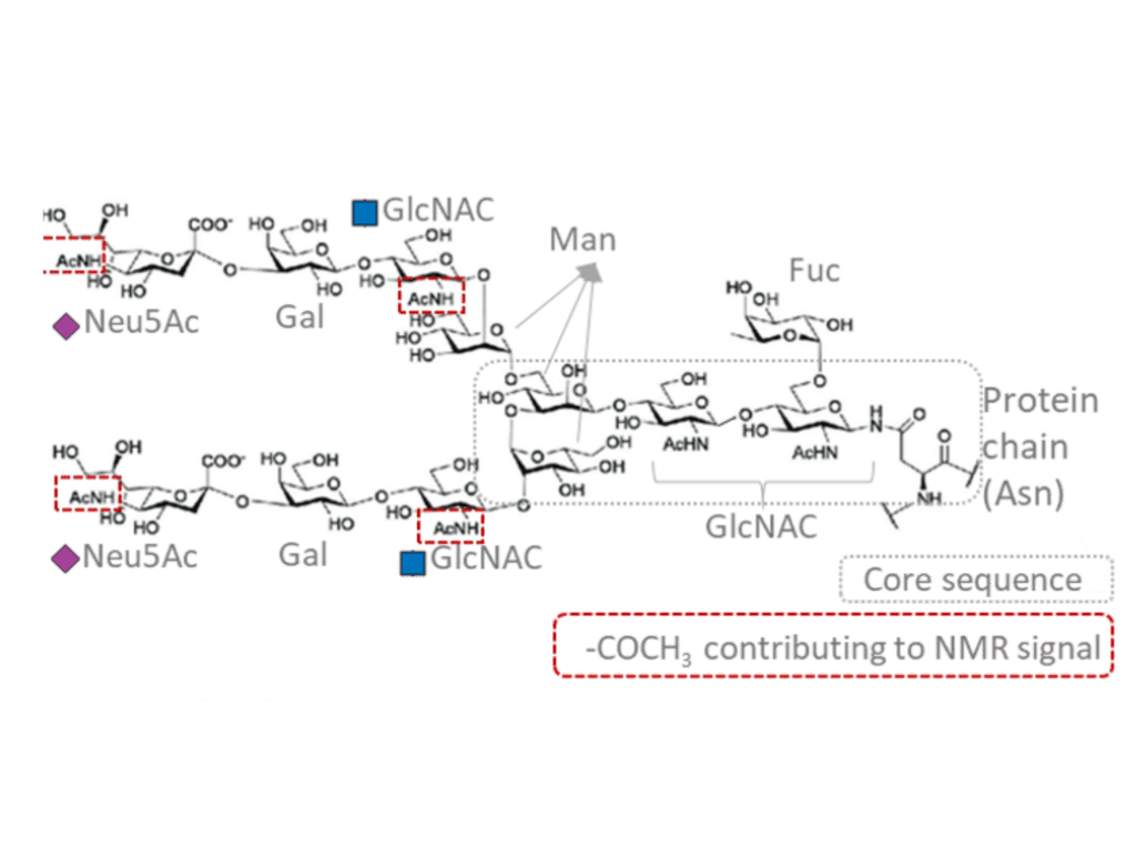 esquema glycA y glycB