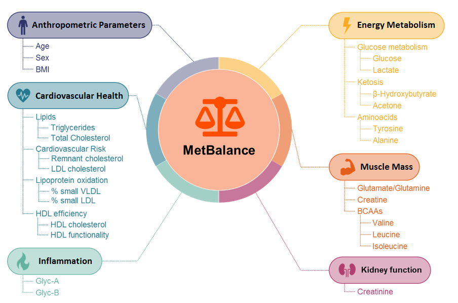 metbalance parameters