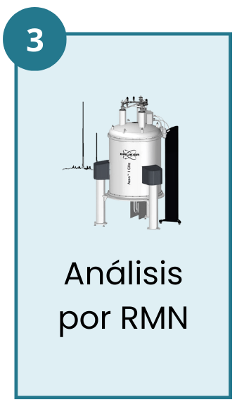 Análisis por RMN