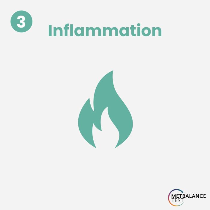 Inflammation: A Key Indicator of Metabolic Stress
