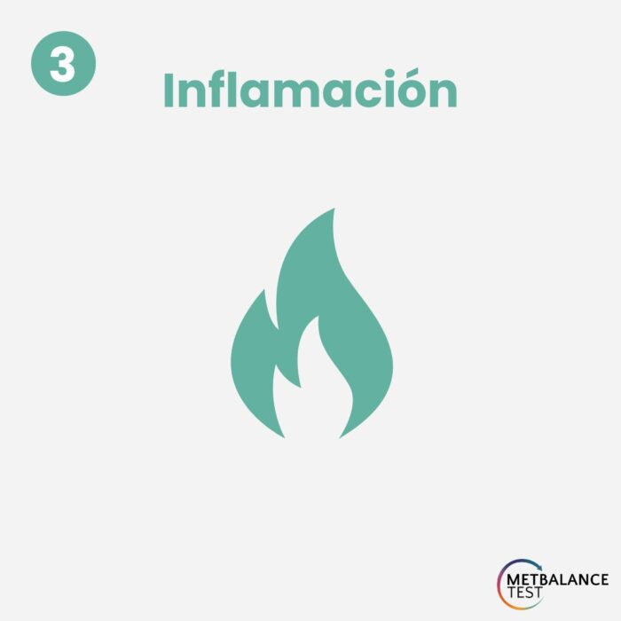 Inflamación: Indicador Clave del Estrés Metabólico
