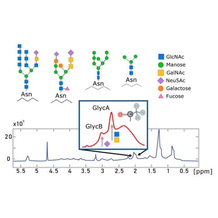 Glicoproteínas: Marcadores emergentes de inflamación