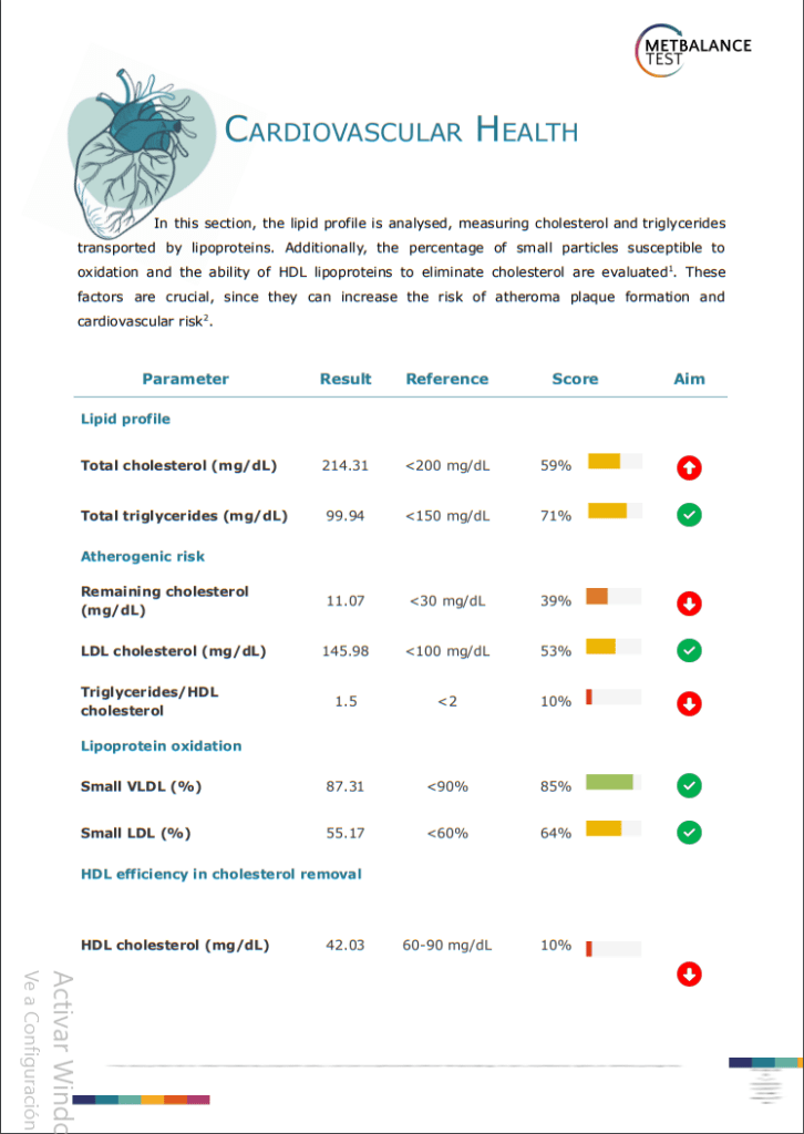 Exemple Results report MetBalance