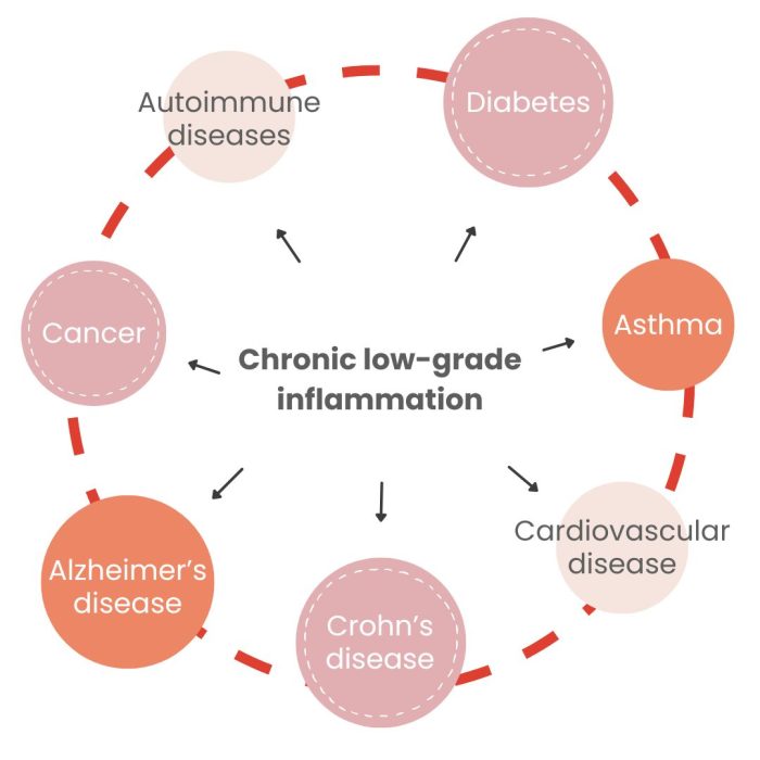 Brainstorm Inflammation